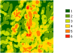 Zoom avant permettant de mieux voir les voisinages avec davantage de variété