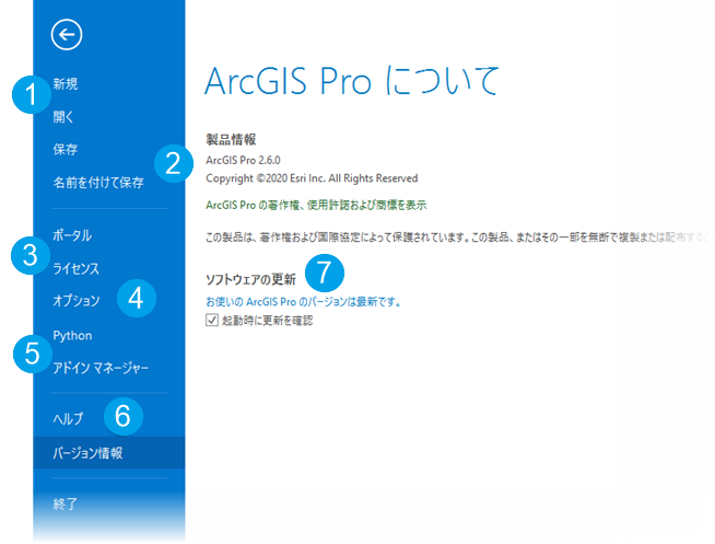 ArcGIS Pro の設定ページ