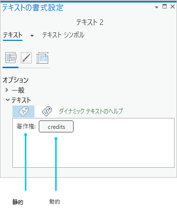 ダイナミック テキストを含む [テキストの書式設定] ウィンドウ