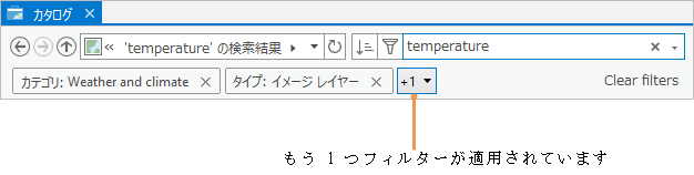 2 つのアクティブなフィルターのテキストと 3 つ目のアクティブなフィルターを示すドロップダウン矢印付きのボタンを表示する [カタログ] ウィンドウ