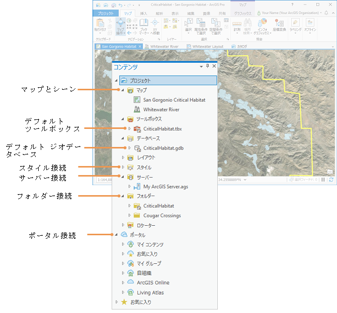 [コンテンツ] ウィンドウに表示されたプロジェクト アイテム