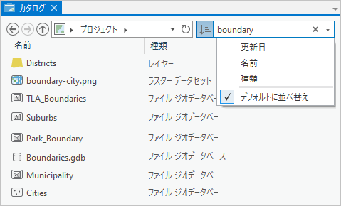 検索結果と並べ替えオプションを表示する [カタログ] ウィンドウ