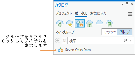 [カタログ] ウィンドウに表示された [マイ グループ] 内のグループのリスト