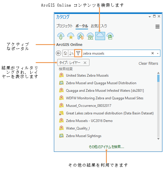 アイテム タイプでフィルター処理された検索結果を示す [カタログ] ウィンドウ