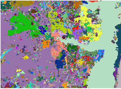 [リージョン グループ (Region Group)] を適用した後のラスター