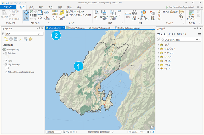 アクティブなマップ ビューを含む ArcGIS Pro アプリケーション