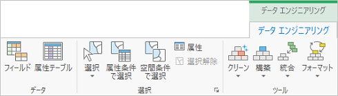 データ エンジニアリング リボン