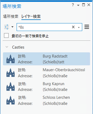 [場所検索] ウィンドウで 1 つのアスタリスクを使用した高度なレイヤー検索
