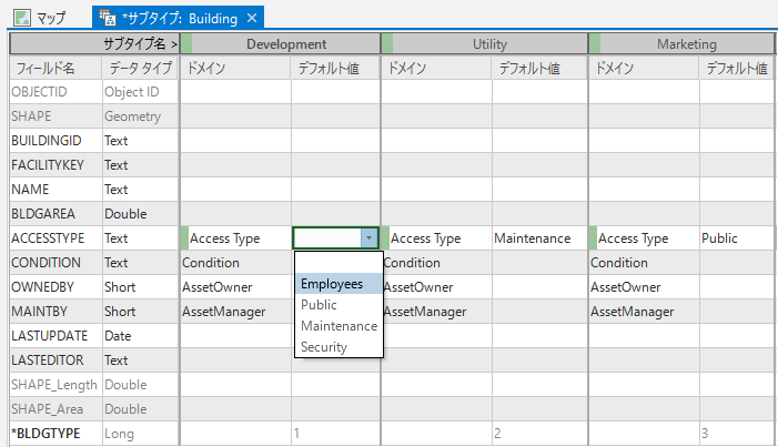 Development サブタイプの Buildings レイヤーの ACCESSTYPE フィールドへのデフォルト値 Employees の割り当て