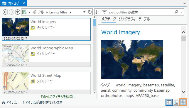 カタログ ビューでは、タイル上にアイテム プロパティとサムネイルが表示され、アイテムのメタデータが表示されます。これは、なじみのないアイテムを調べるのに便利です。