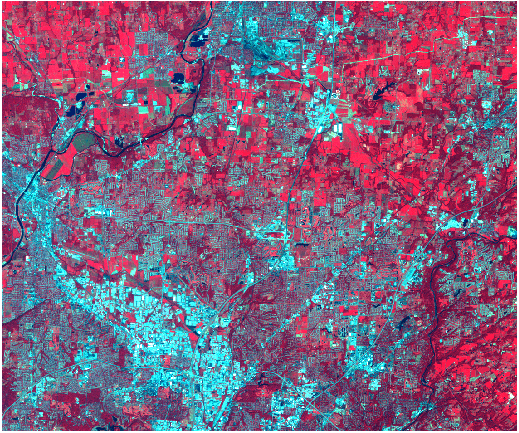 入力 Landsat TM 画像