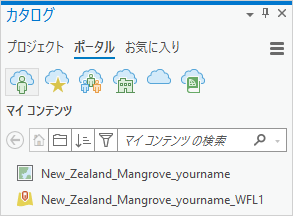 Web マップを表示する [カタログ] ウィンドウ