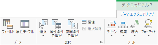データ エンジニアリング リボン