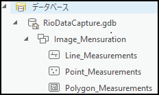 計測情報は、プロジェクトに関連付けられたジオデータベースに保存されます。