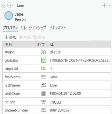 調査の詳細パネルにエンティティのプロパティを表示します。