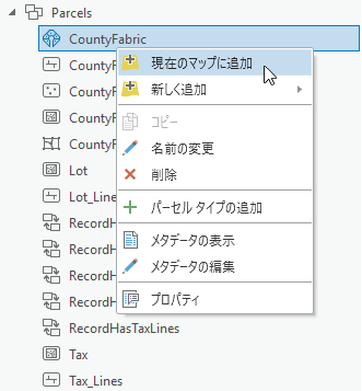 パーセル ファブリックおよびそのレイヤーをマップに追加する。