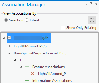Association Manager pane - expand added features