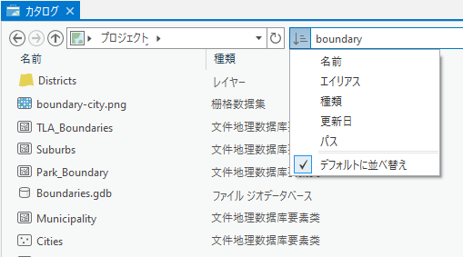 検索結果と並べ替えオプションを表示する [カタログ] ウィンドウ