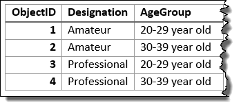 [Designation] フィールドと [Age Group] フィールドを使用して集計された入力レイヤー