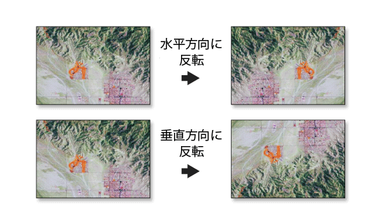 左右および上下に反転させたラスター データセットのイメージ