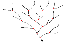 流路のリンクの図