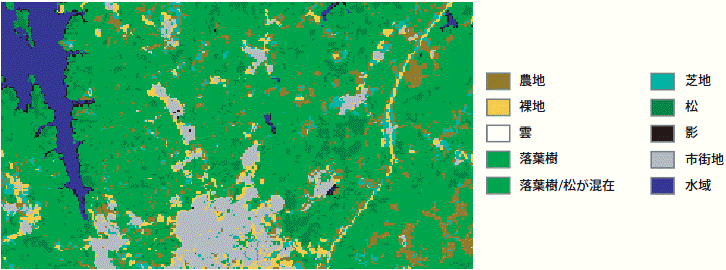 土地利用を示す主題ラスターの例