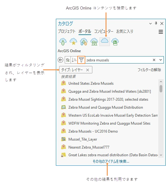 アイテム タイプでフィルター処理された検索結果を示すカタログ ウィンドウ