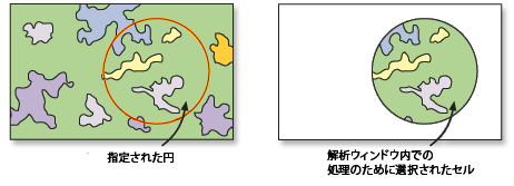 円で抽出ツールの例