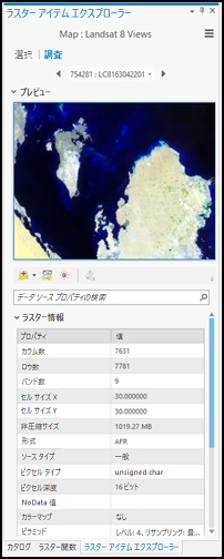 モザイク データセットまたはイメージ サービスの特定のアイテムに関連付けられたリストの詳細を示す [ラスター アイテム エクスプローラー] ウィンドウ