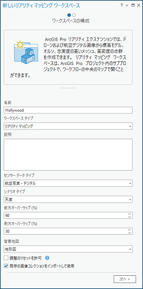 モザイク データセットのワークスペース構成ウィンドウ