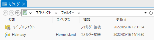 フォルダー接続の名前とエイリアスが表示されたカタログ ビュー