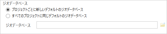 新しいプロジェクトを作成するためのジオデータベース オプション