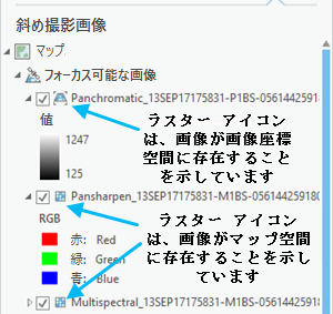 [フォーカス画像として設定します。] の有効化