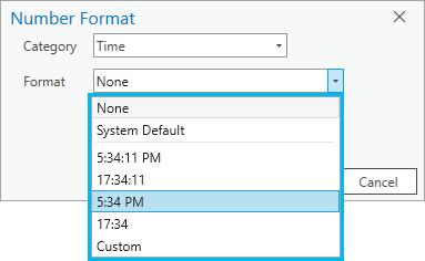 ArcGIS Pro で選択可能な　time only データ タイプの書式設定オプション