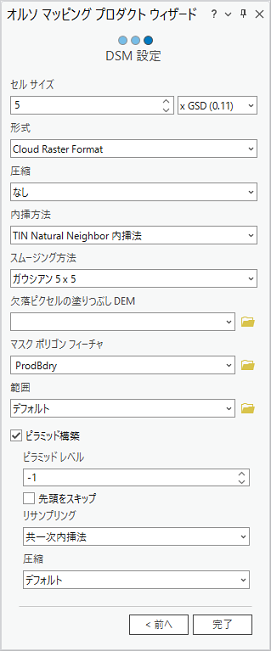 オルソ マッピング プロダクト ウィザードの DSM 設定