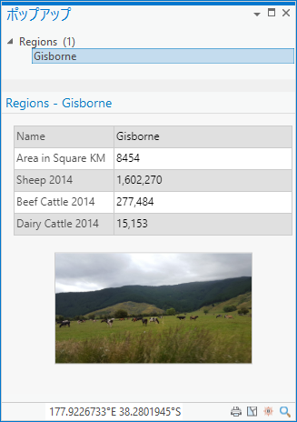 マップ上に構成されたポップアップ マップ上に構成されたポップアップ