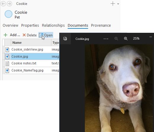 エンティティーに関連付けられたドキュメントが適切なアプリケーションを使用して開きます。
