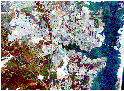 ジェネラライズ前の未処理画像 ジェネラライズ前の未処理画像