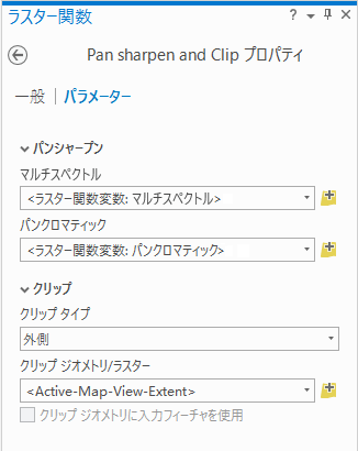 ラスター関数テンプレートのパラメーター ラスター関数テンプレートのパラメーター