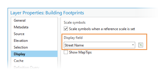 表示フィールド 表示フィールド