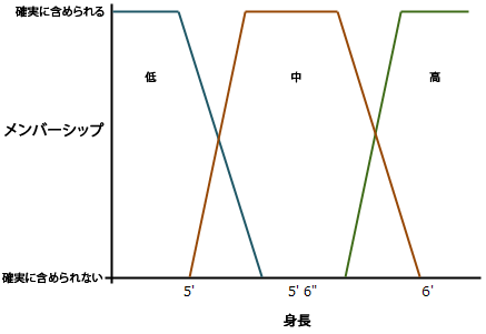 身長メンバーシップ クラス 身長メンバーシップ クラス