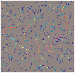 河川次数 河川次数