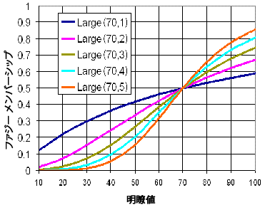 Fuzzy Large graph