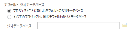 新しいプロジェクトを作成するためのジオデータベース オプション