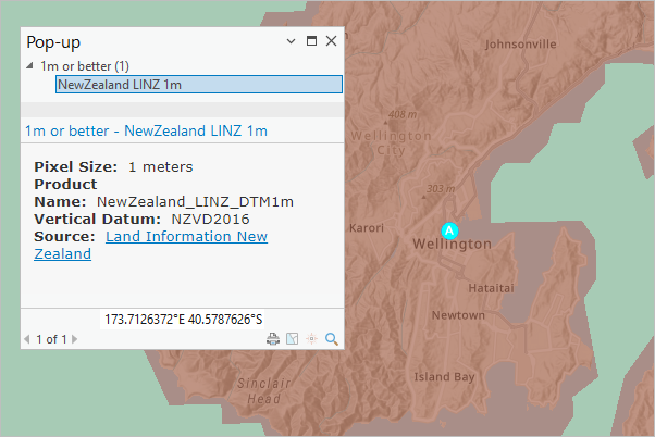 ニュージーランドのウェリントンが拡大表示された、ポップアップを含む Elevation Coverage Map レイヤー