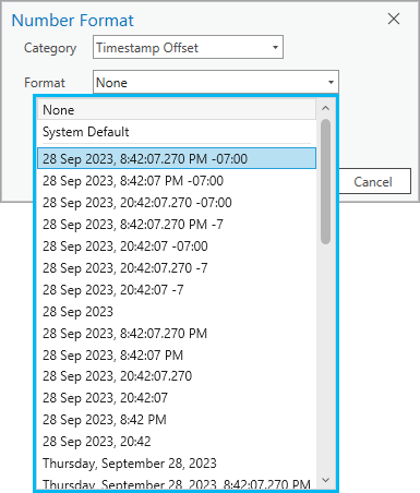 ArcGIS Pro で選択可能な　timestamp offset データ タイプの書式設定オプション