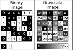 バイナリおよびグレースケール画像のピクセル値