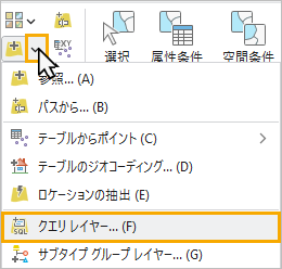 データの追加メニューを展開し、クエリ レイヤーを選択します。