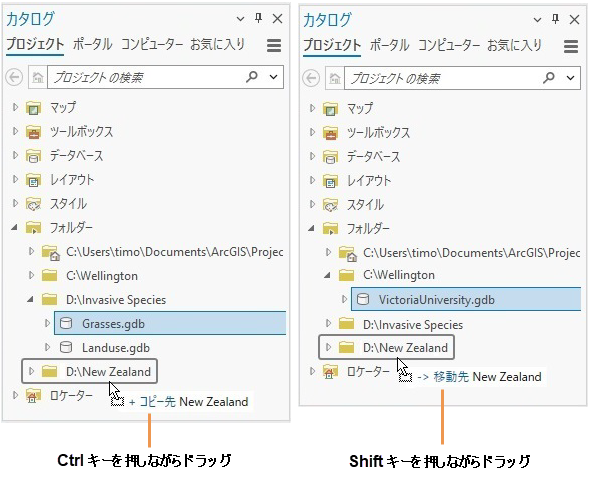 修飾キーを使用したドラッグによりコピーまたは移動されたジオデータベースを並べて表示した例