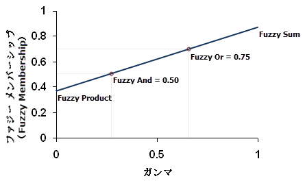 他のファジー関係タイプと Fuzzy Gamma の関係